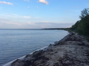 IMG_3126